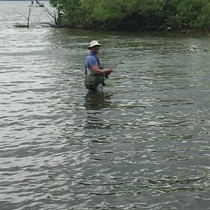 Meet your Posher, Zachary